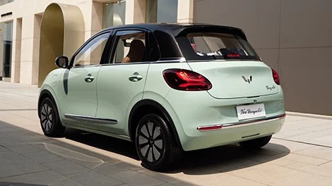 Impressive Two-Tone Body Color