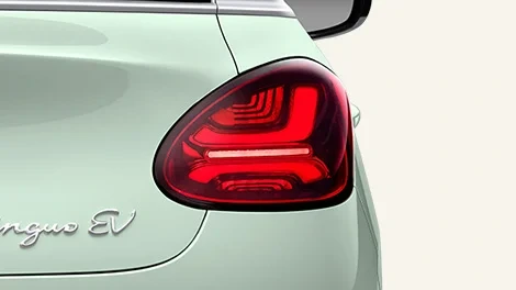 X-Shaped LED Tail Light (Pro)
